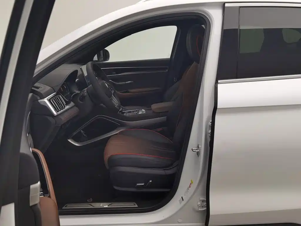 BYD PLUS — миниатюра 10