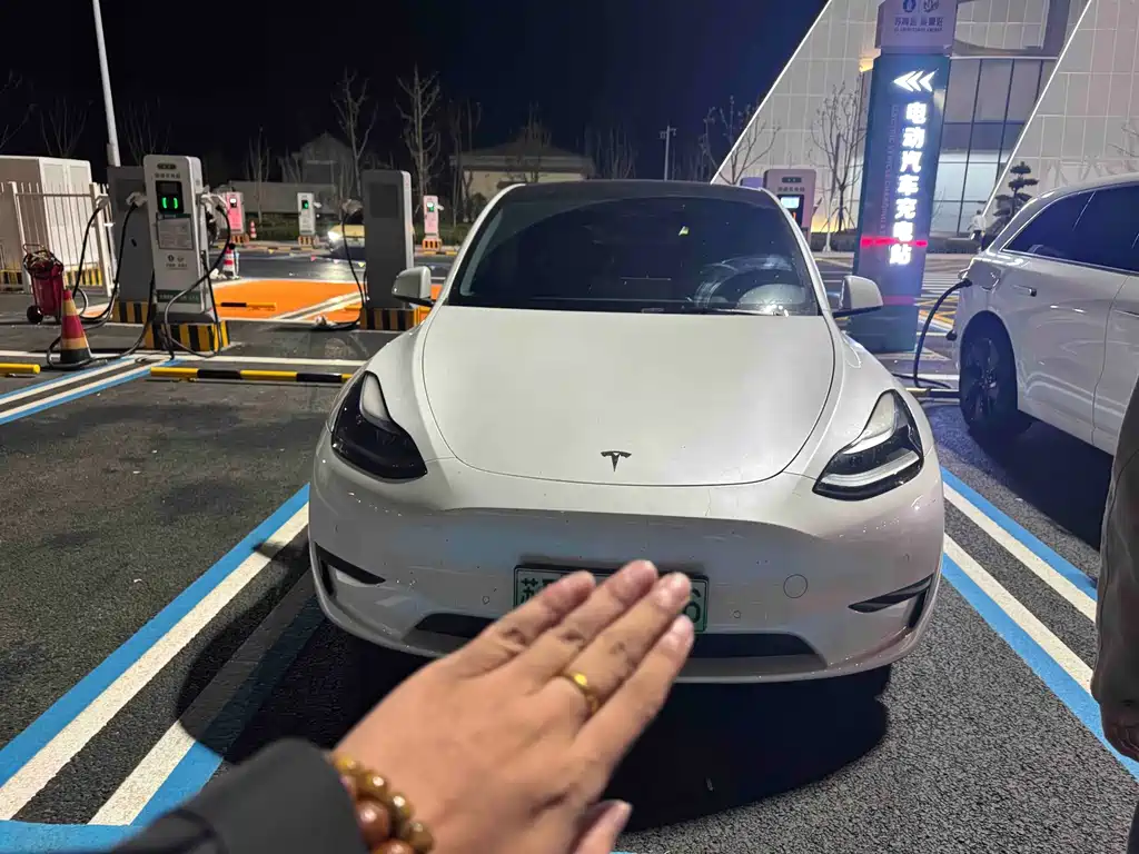 Tesla Model Y — миниатюра 3
