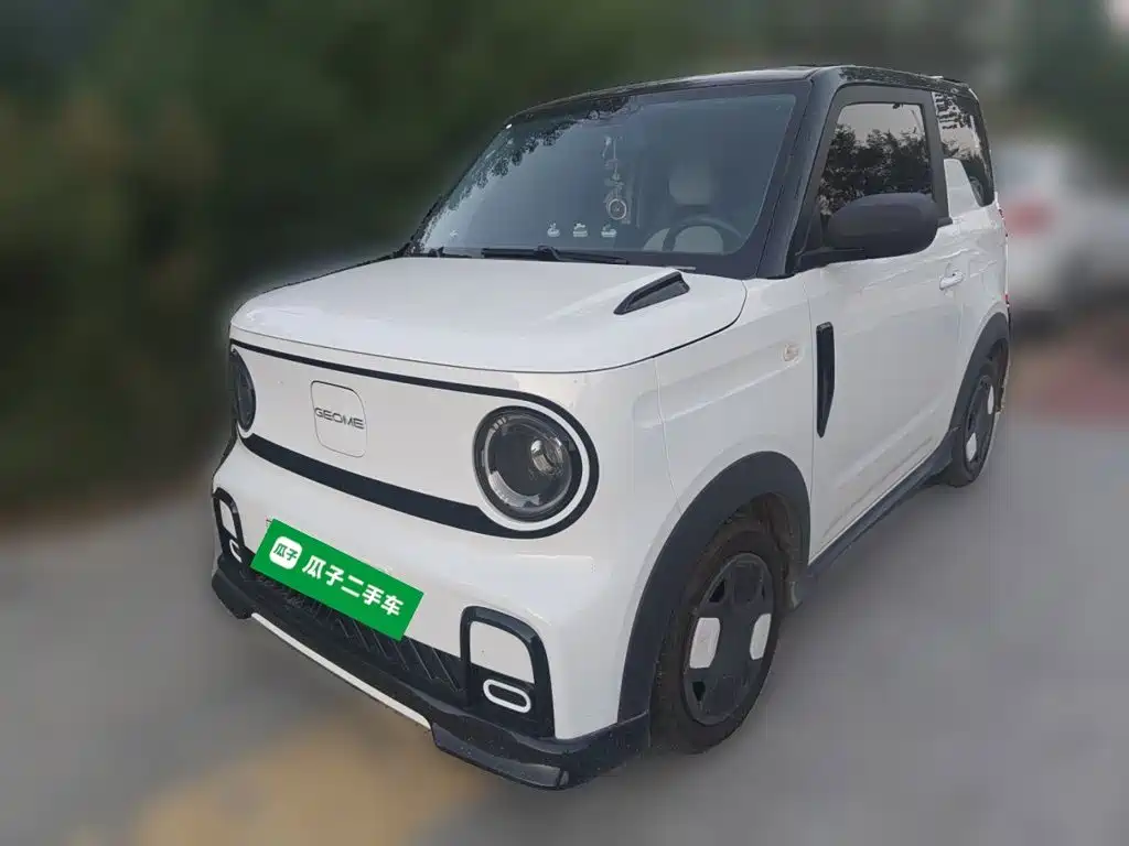 Galaxy Panda