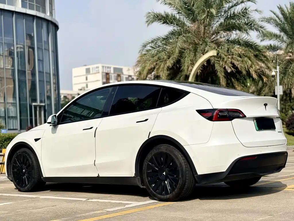 Tesla Model Y — миниатюра 14
