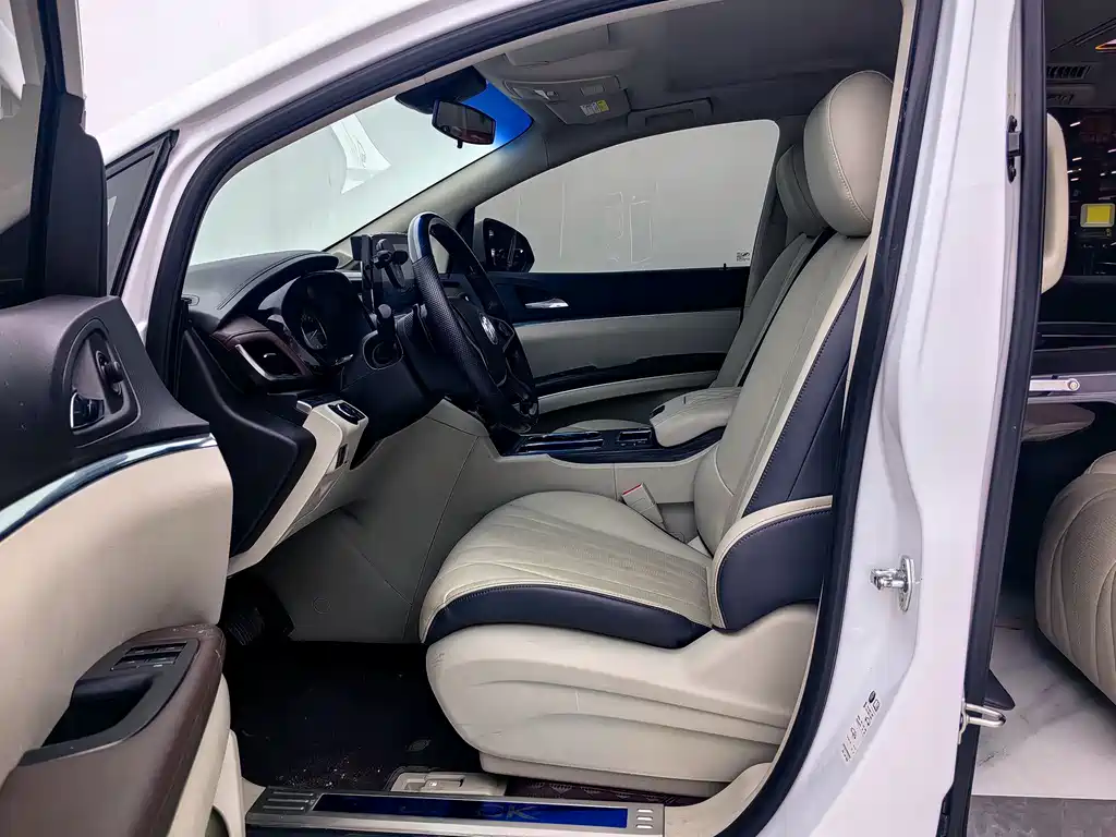 Buick GL8 — миниатюра 4
