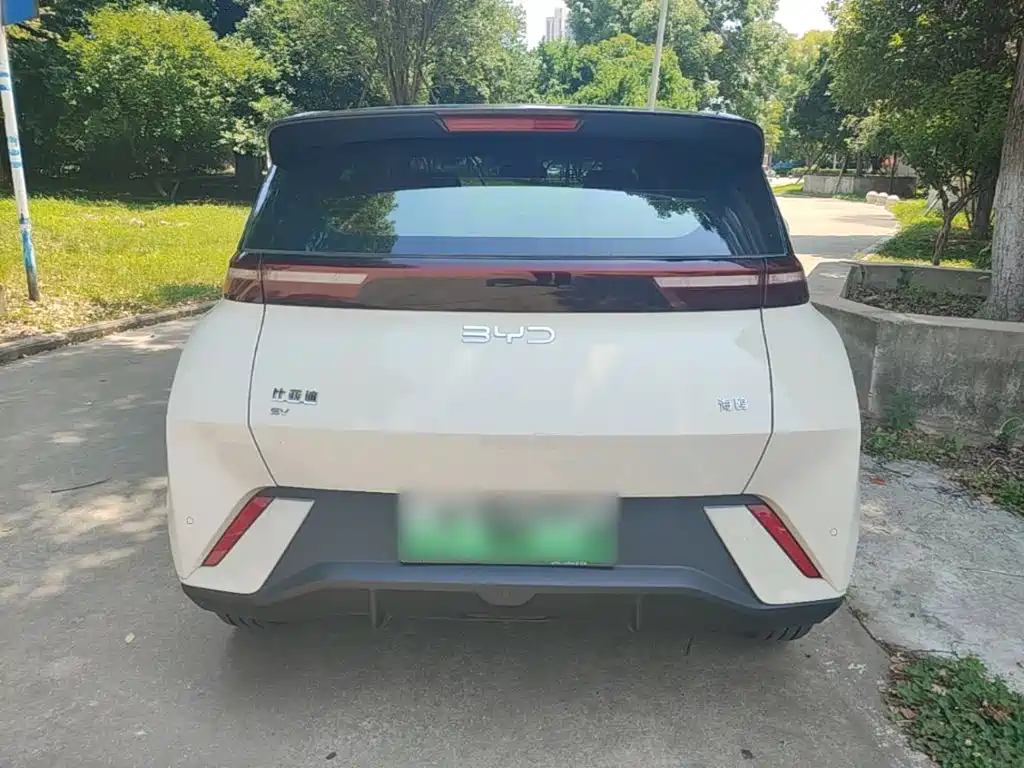 BYD Seagull 2024 405km Flying