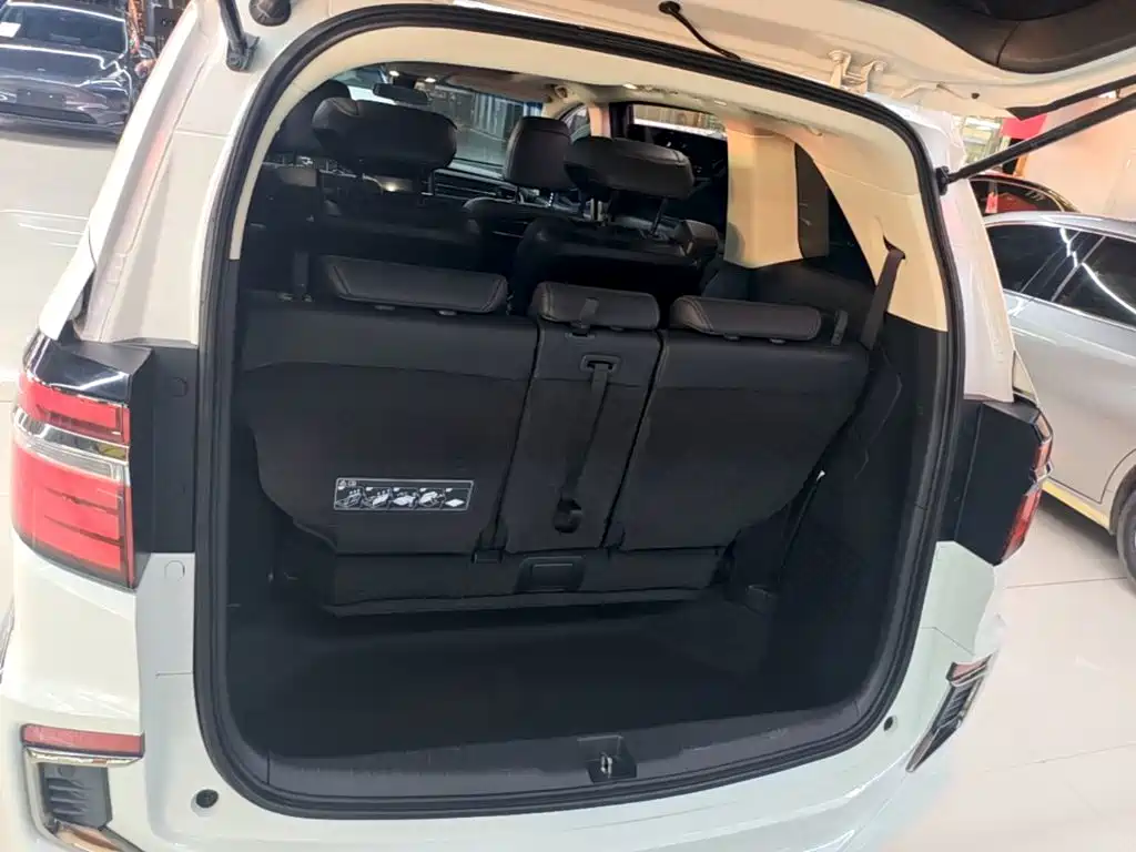 Honda Elysion — миниатюра 19