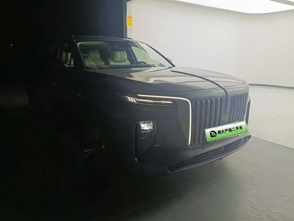Hongqi Hongqi E-HS9 — миниатюра 3
