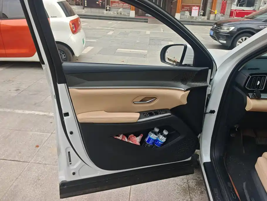 BYD Pro New Energy — миниатюра 7