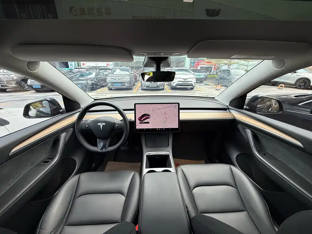 Tesla Model Y — миниатюра 27
