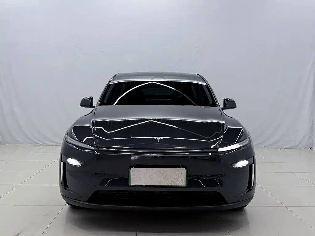 Tesla Model Y — миниатюра 2