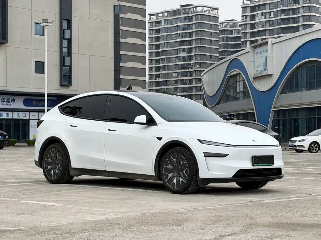 Tesla Model Y L — миниатюра 3