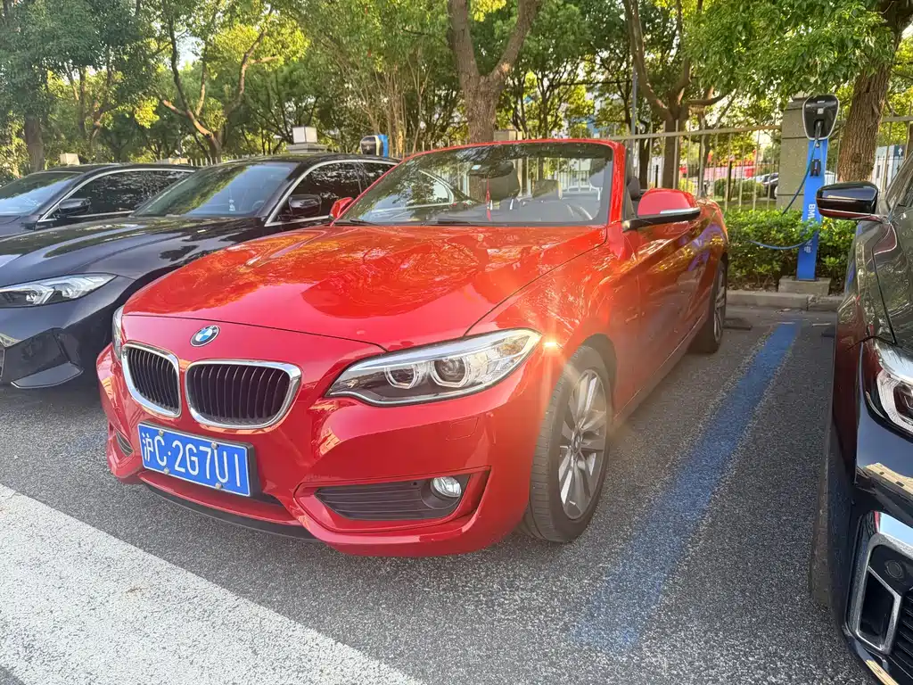 BMW 2 Series (Import)