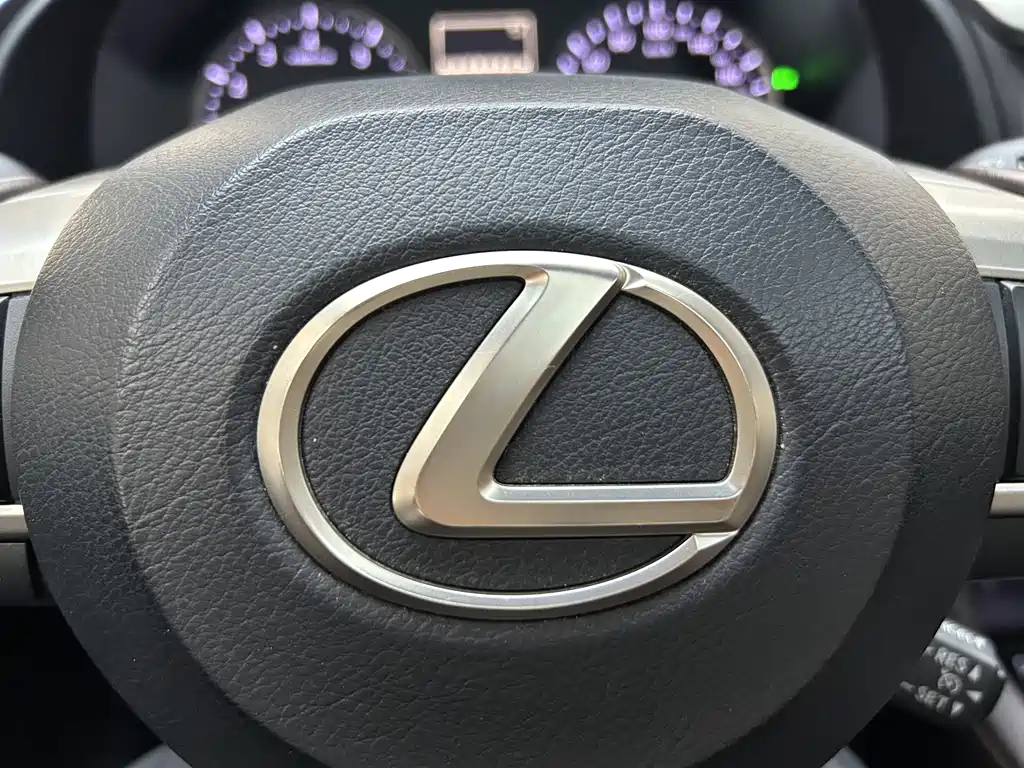 Lexus RX — миниатюра 26