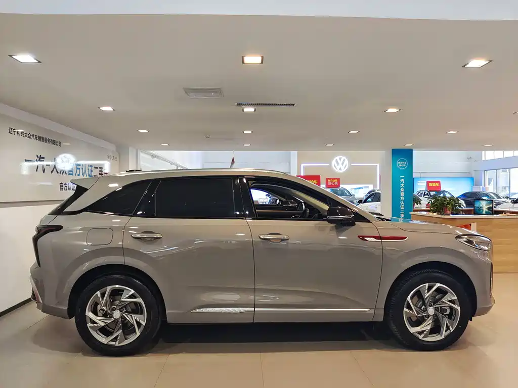 RED FLAG HONGQI HS3 PHEV