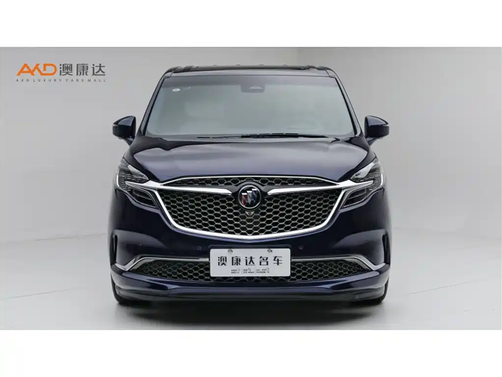 Buick GL8 — миниатюра 2