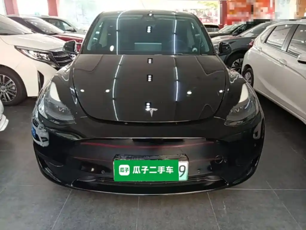 Tesla Model Y — миниатюра 3