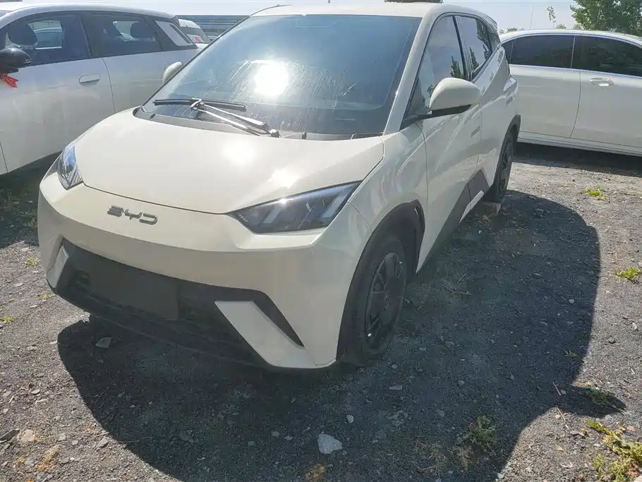 Byd Seagull 2024