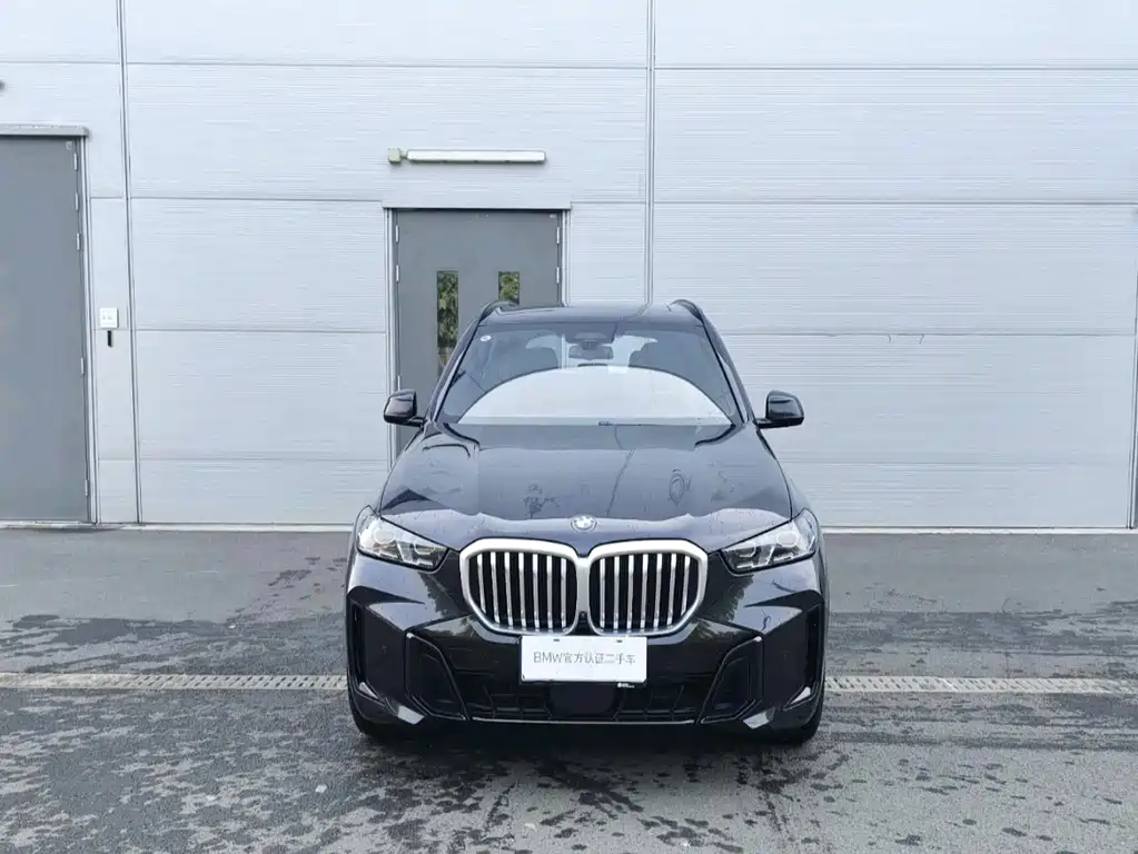 BMW X5 — миниатюра 2