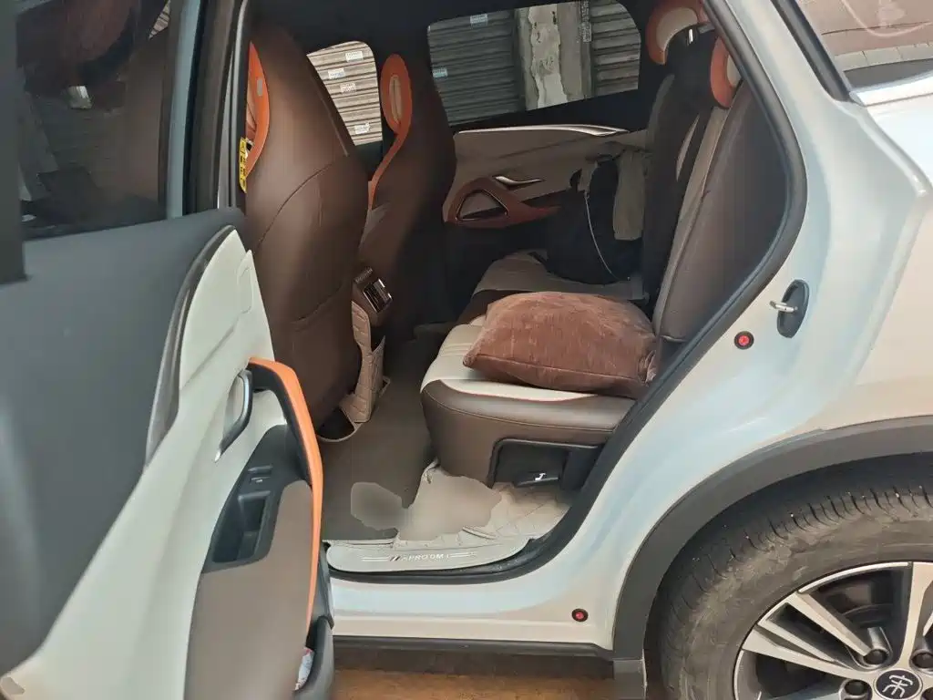 BYD Pro New Energy — миниатюра 13
