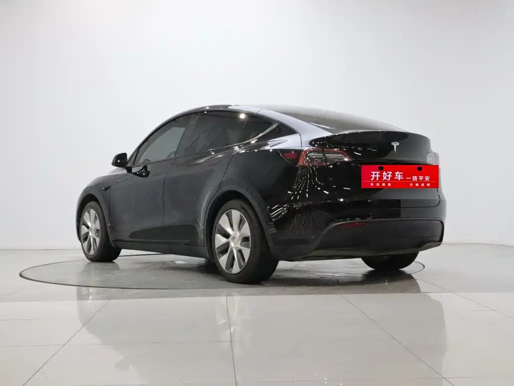 Tesla Model Y — миниатюра 6