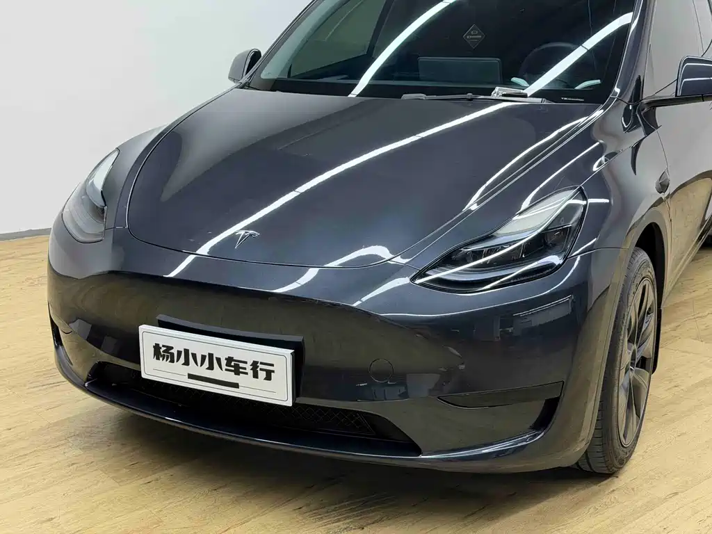 Tesla Model Y — миниатюра 4