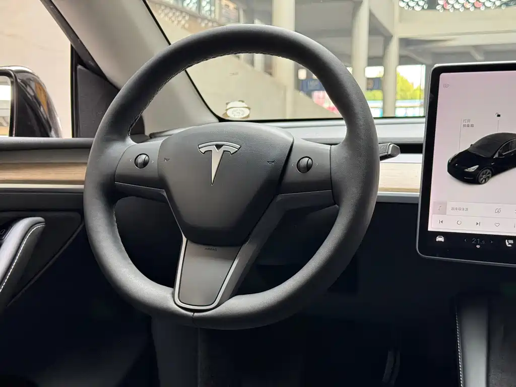 Tesla Model Y — миниатюра 12