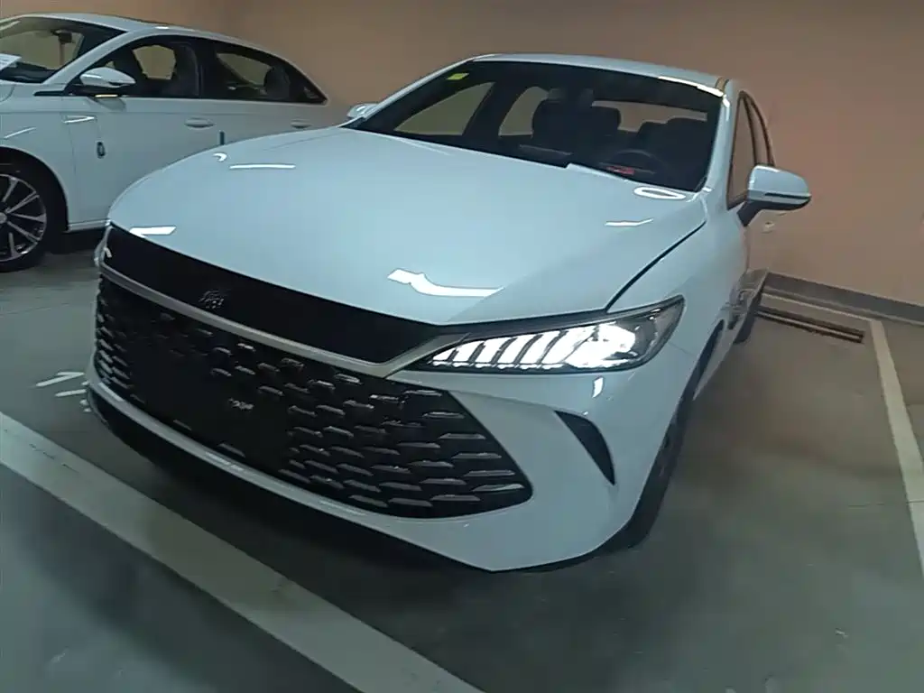Byd Qin PLUS 2026