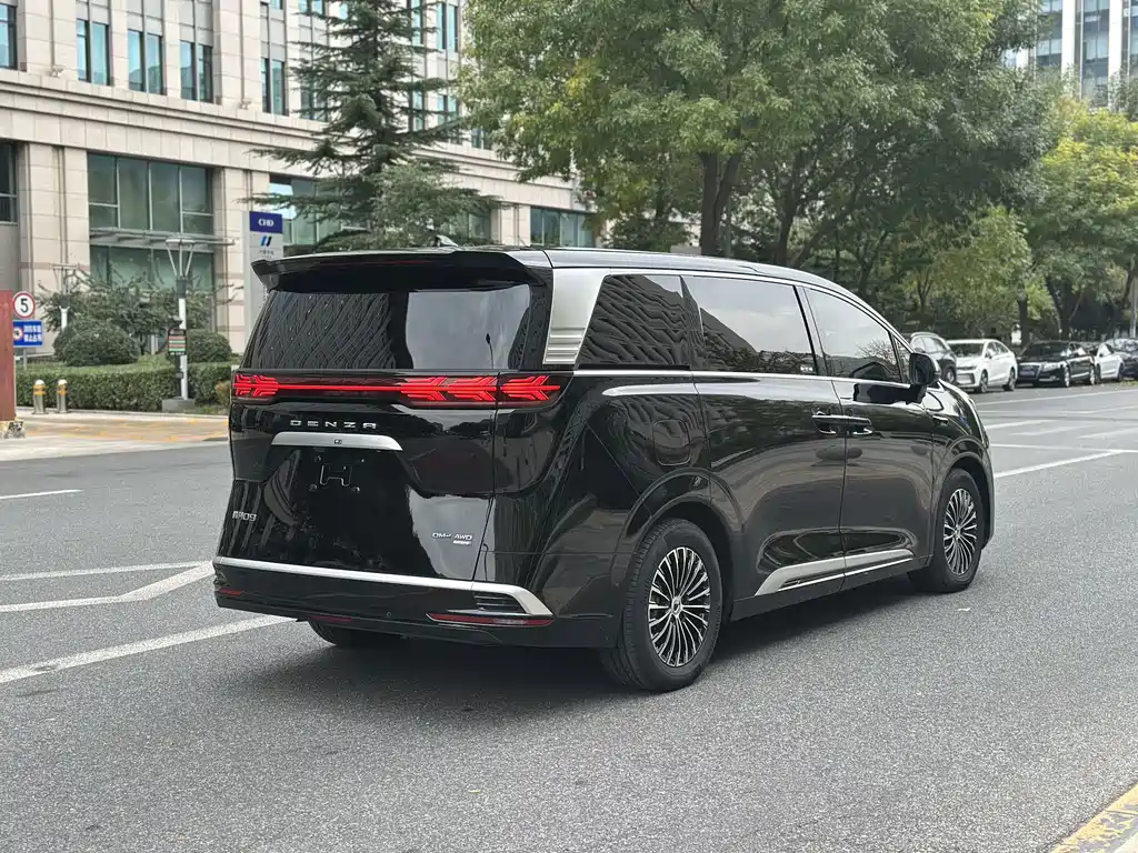 Denza Denza D9 — миниатюра 12