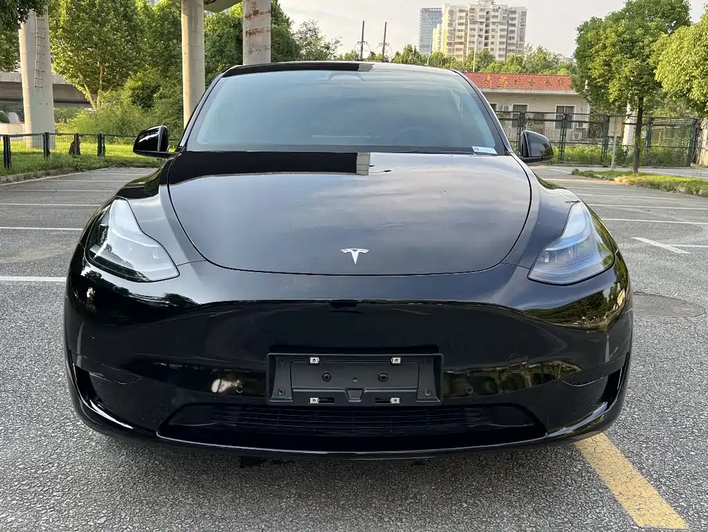 Tesla Model Y — миниатюра 2