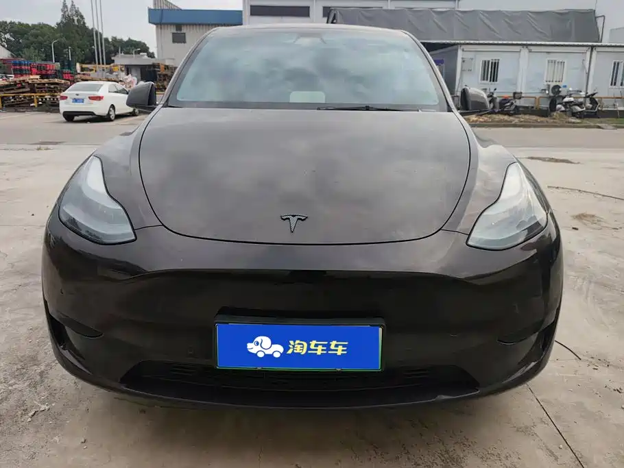 Tesla Model Y — миниатюра 2