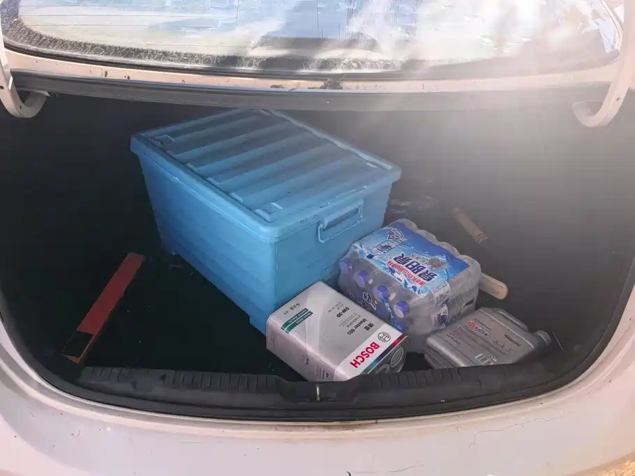 Hyundai Elantra Langdong — миниатюра 4