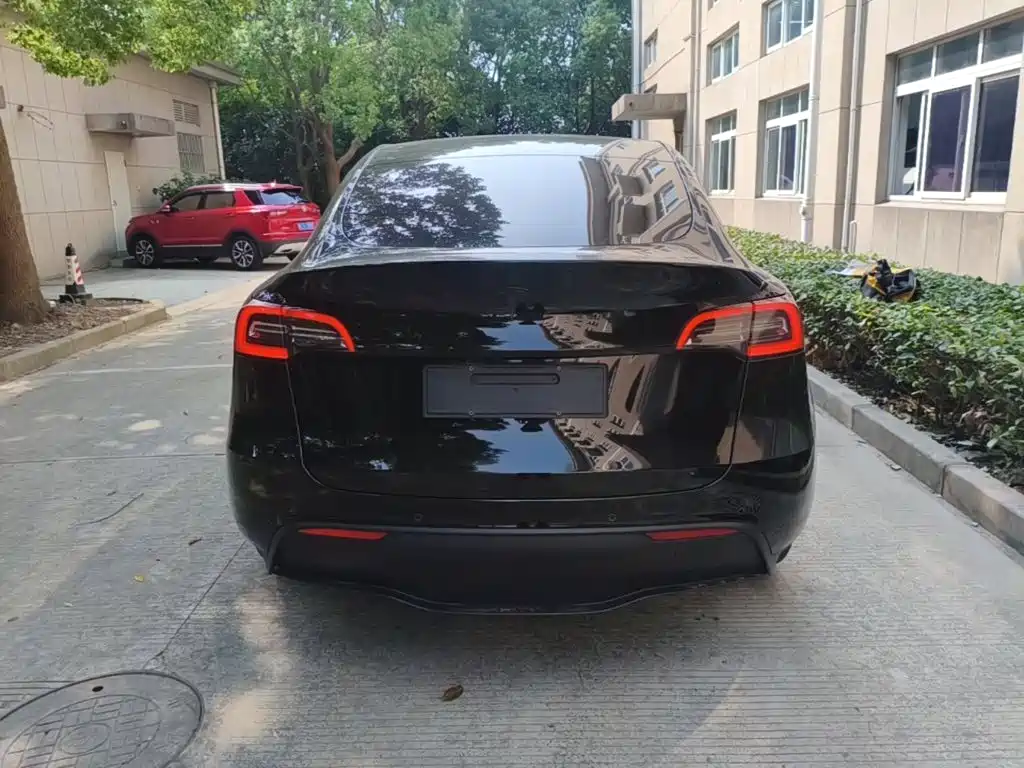 Tesla Model Y — миниатюра 6