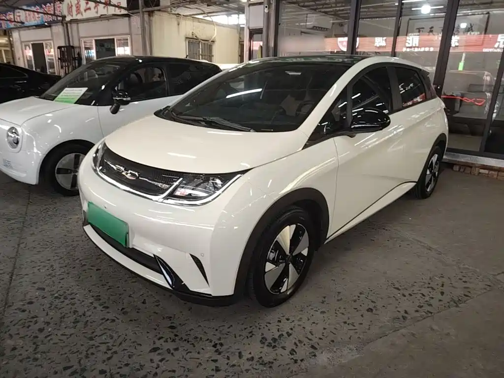 BYD Dolphin — миниатюра 2