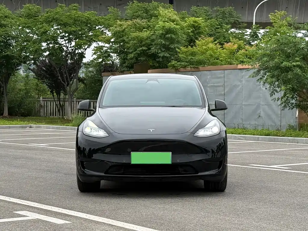 Tesla Model Y — миниатюра 2
