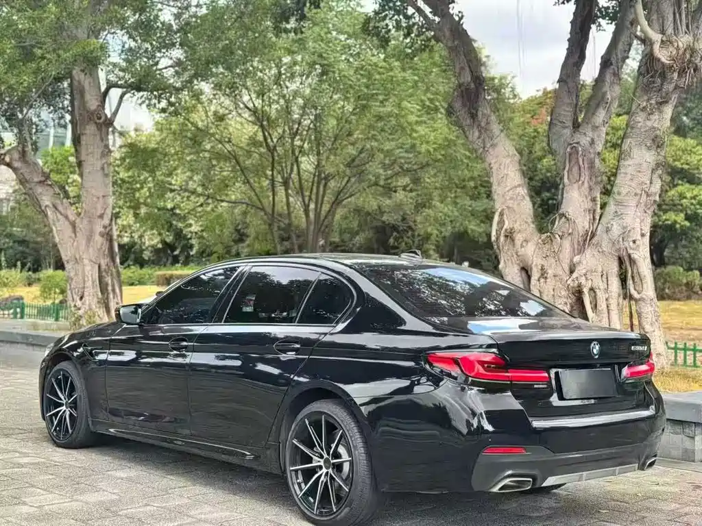 BMW 5 Series — миниатюра 4