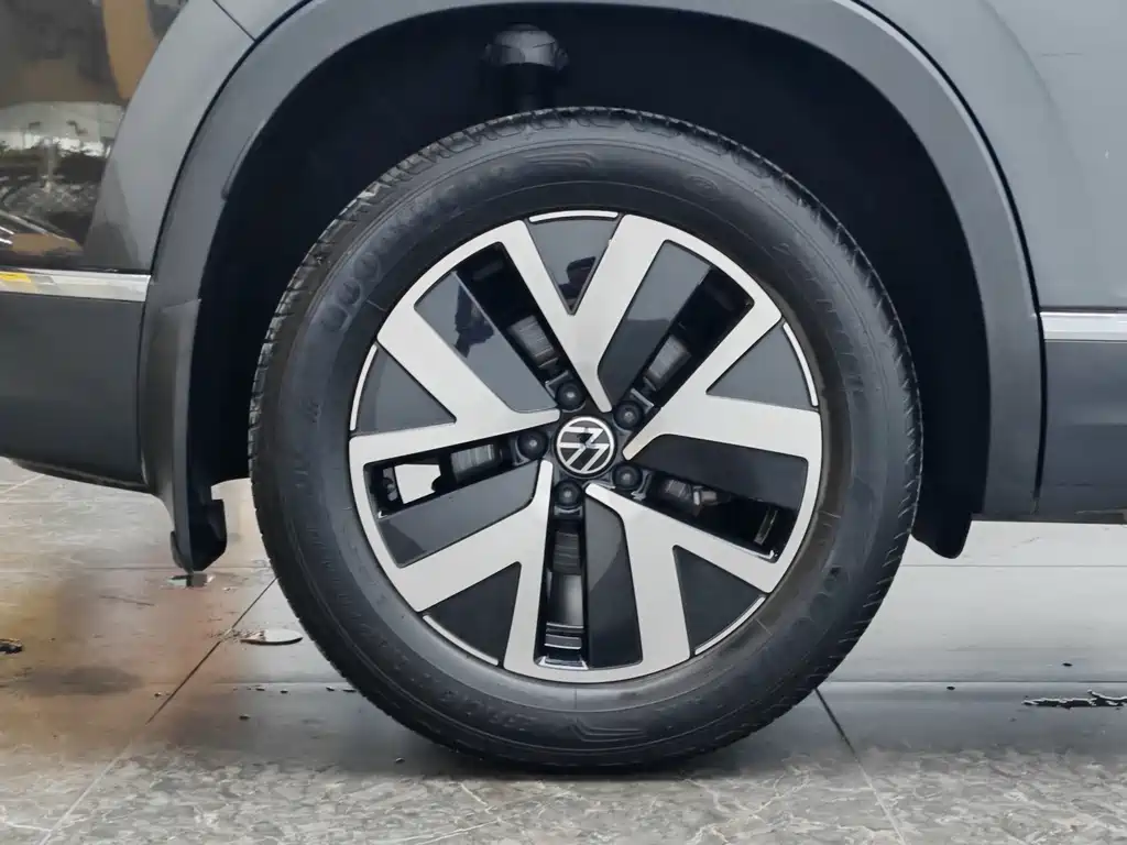 VOLKSWAGEN TANYUE