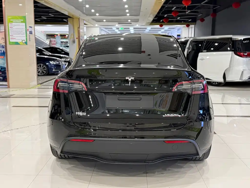 Tesla Model Y — миниатюра 8