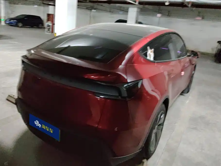 Tesla Model Y — миниатюра 3