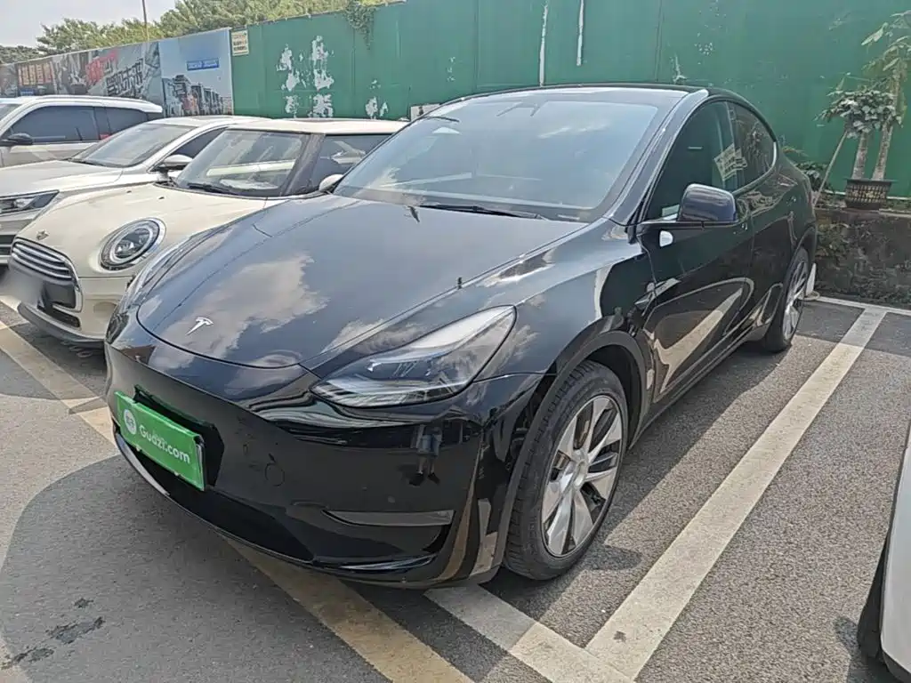 Tesla Model Y — миниатюра 2