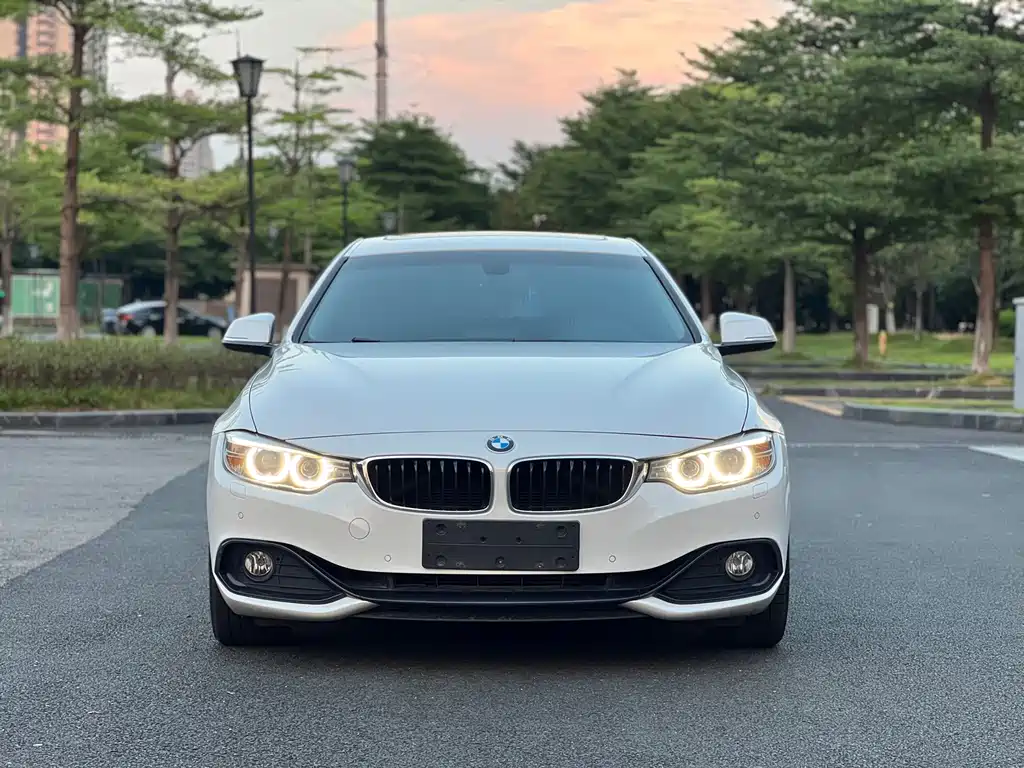 BMW 4 Series — миниатюра 2