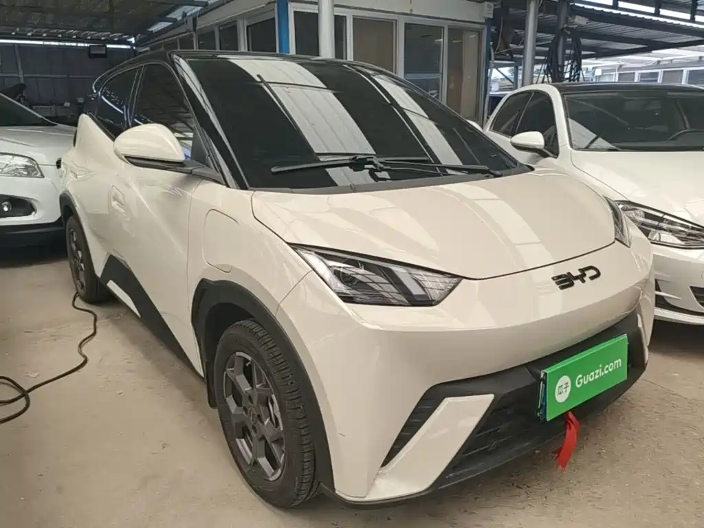 BYD Seagull 2025 305km