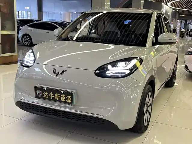 WULING AUTOMOBILE WULING BINGGUO 2024