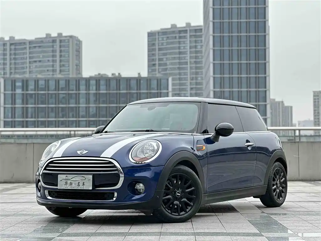 Mini Mini 2017