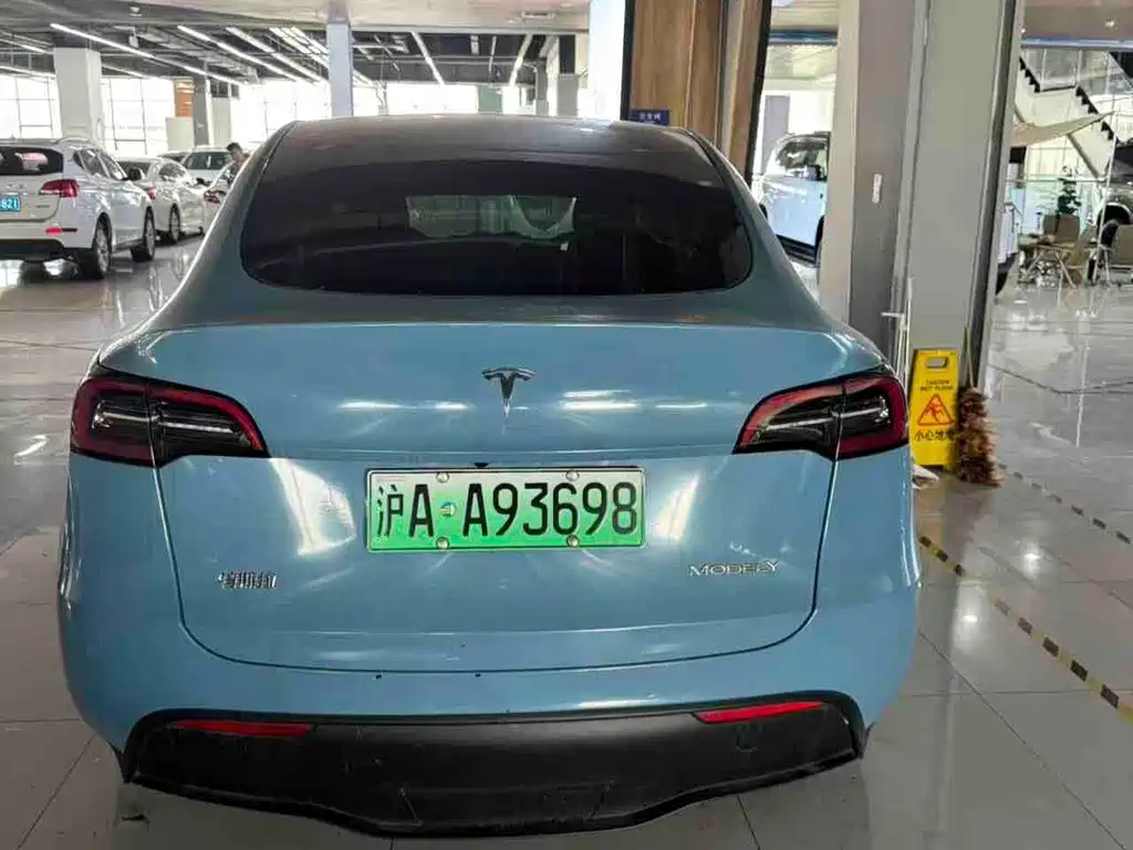 Tesla Model Y — миниатюра 7