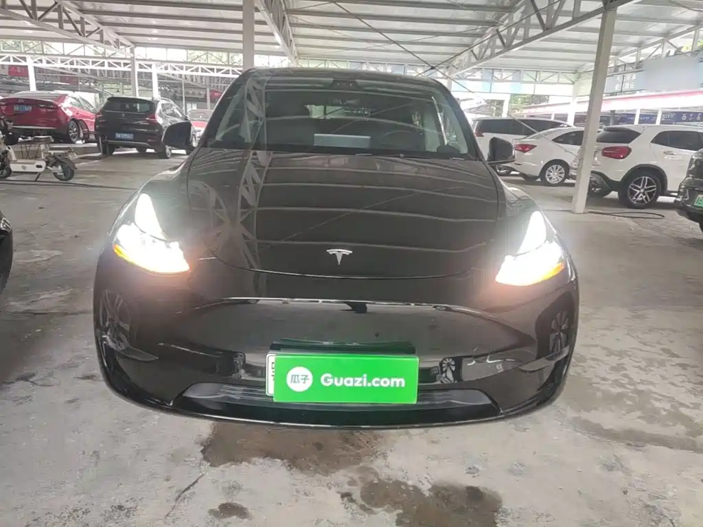 Tesla Model Y — миниатюра 3