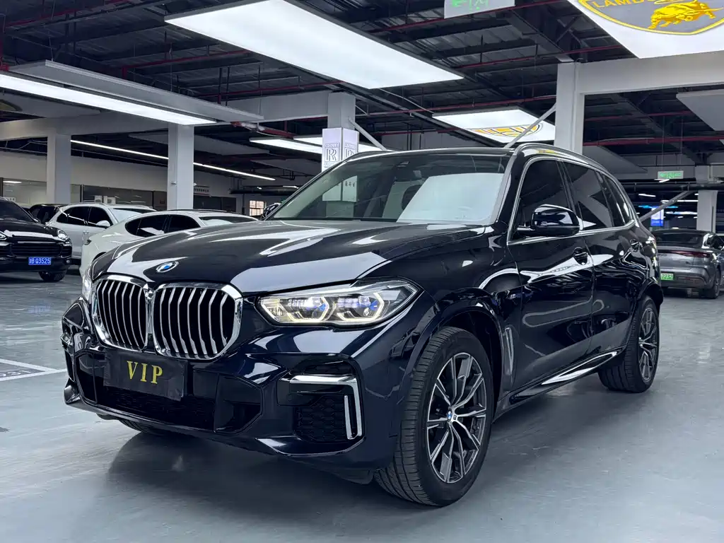 BMW X5 2023