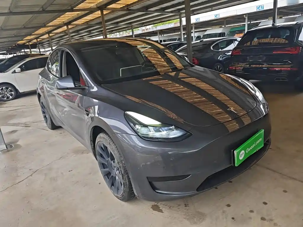 Tesla Model Y — миниатюра 4