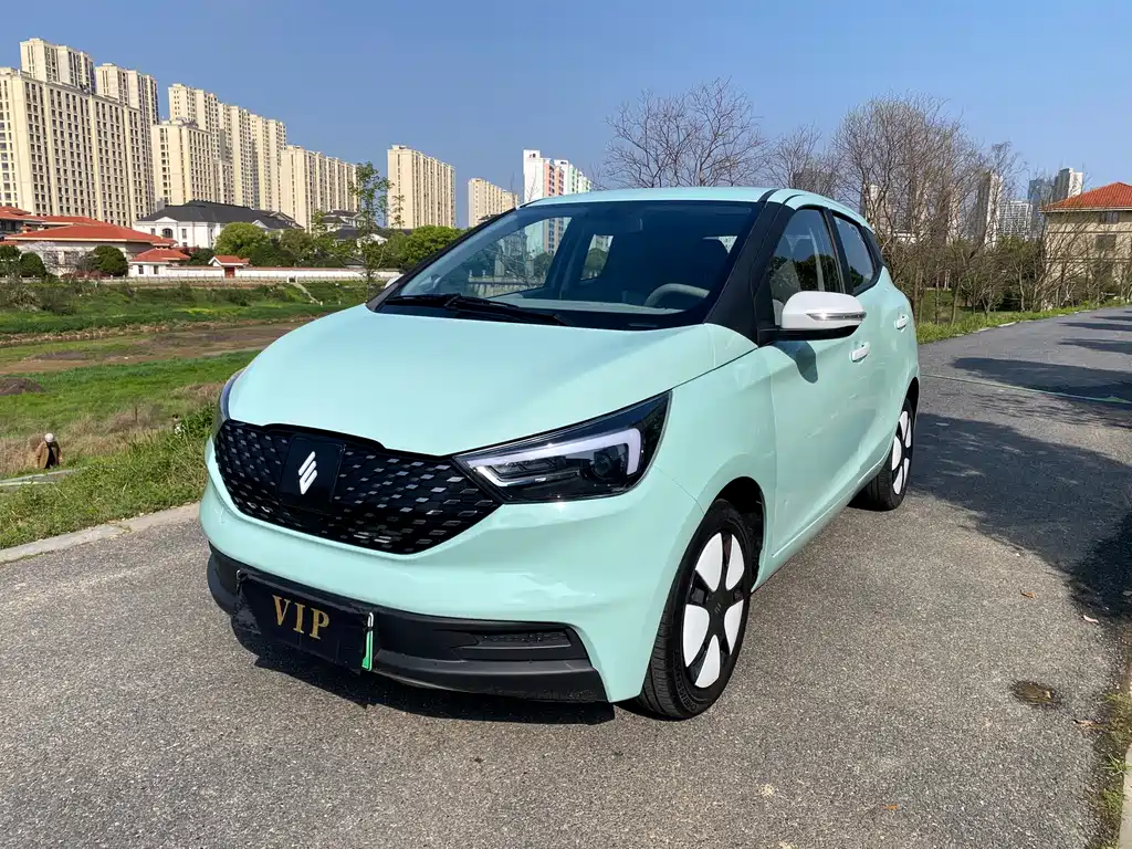 Jmev EV3 2024