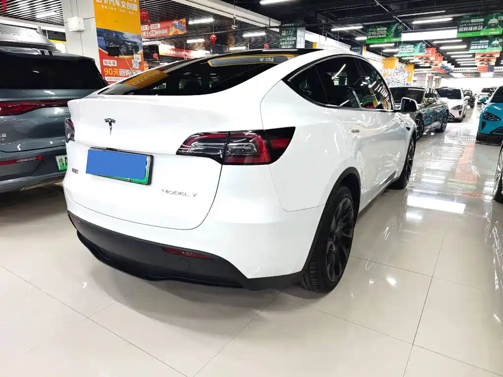 Tesla Model Y — миниатюра 3