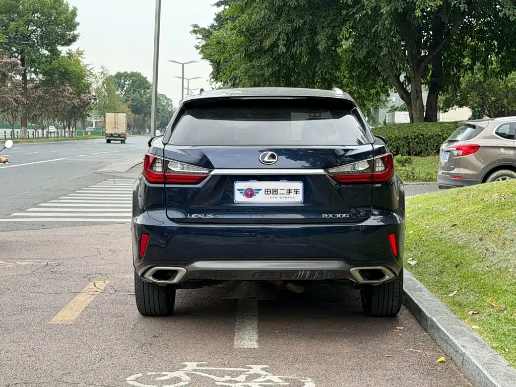 Lexus RX — миниатюра 5