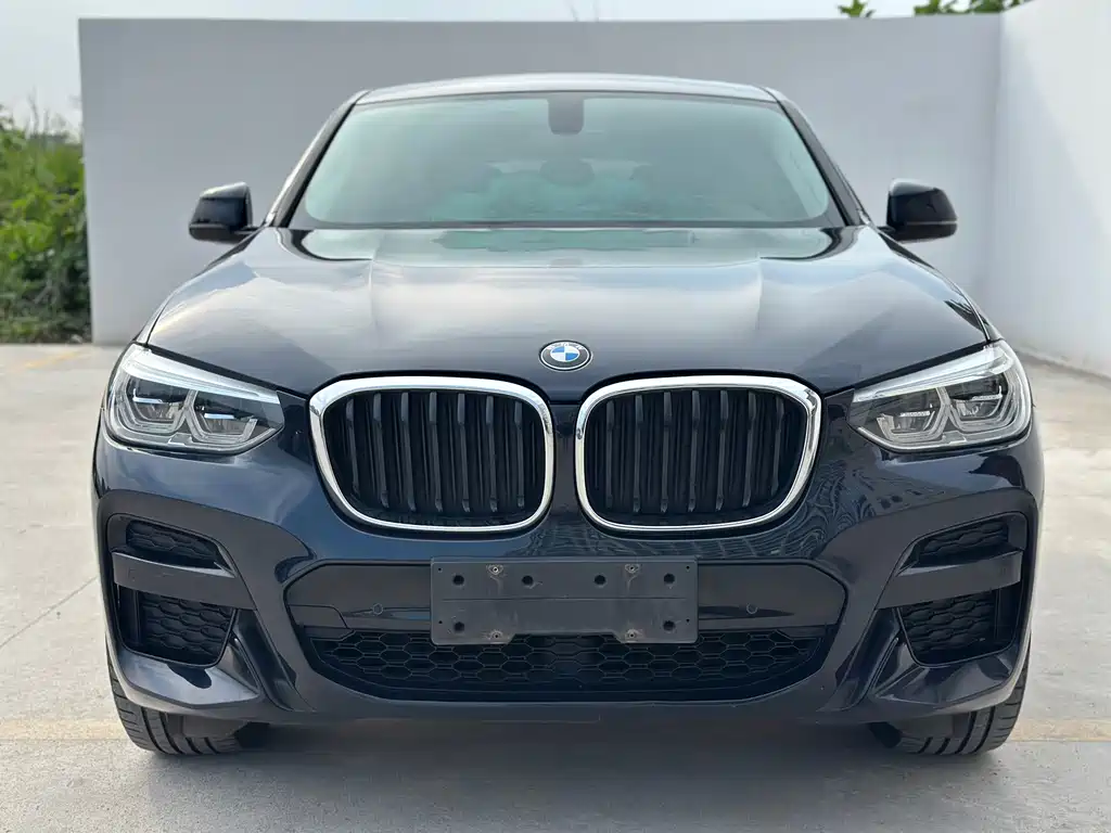 BMW X4 — миниатюра 2