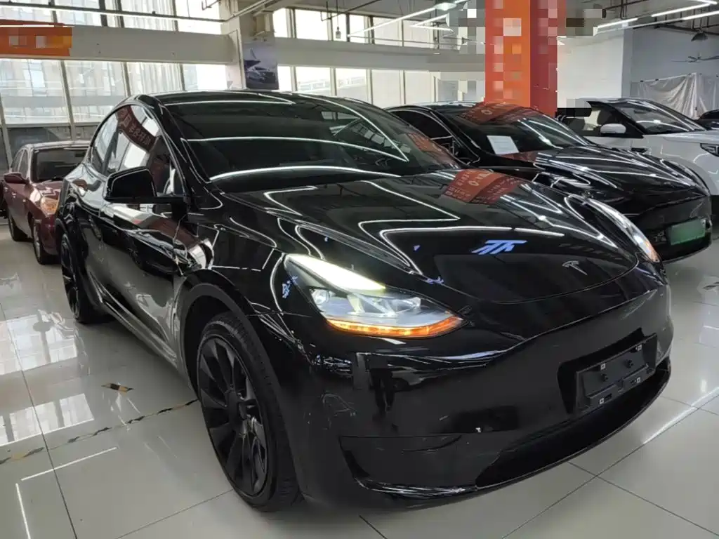 Tesla Model Y — миниатюра 4