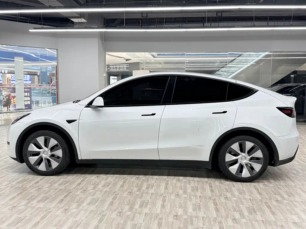 Tesla Model Y — миниатюра 2